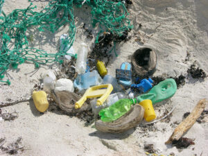 polluted beach hazards